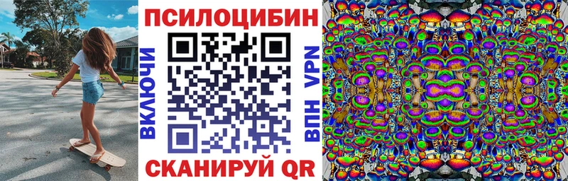 Псилоцибиновые грибы Cubensis  Нахабино 